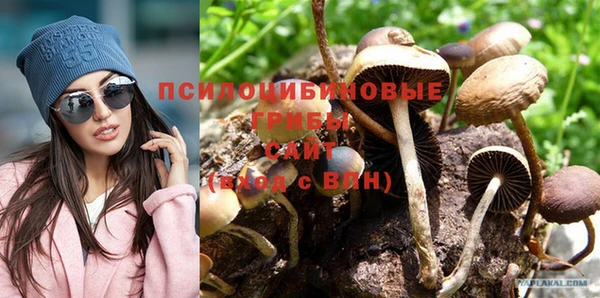 СК Алексеевка