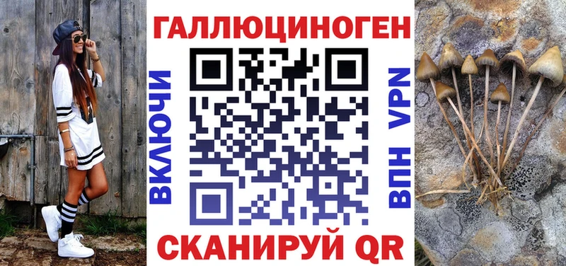 Псилоцибиновые грибы Cubensis Карачаевск